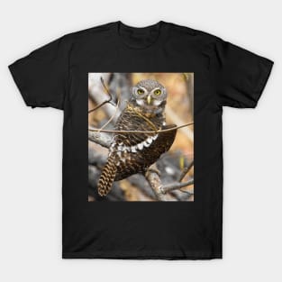 African Barred Owlet T-Shirt